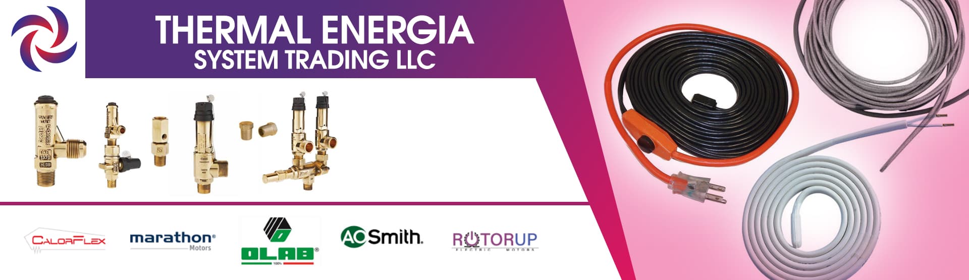 THERMAL ENERGIA SYSTEM TRADING LLC