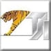 TIGER STEEL
