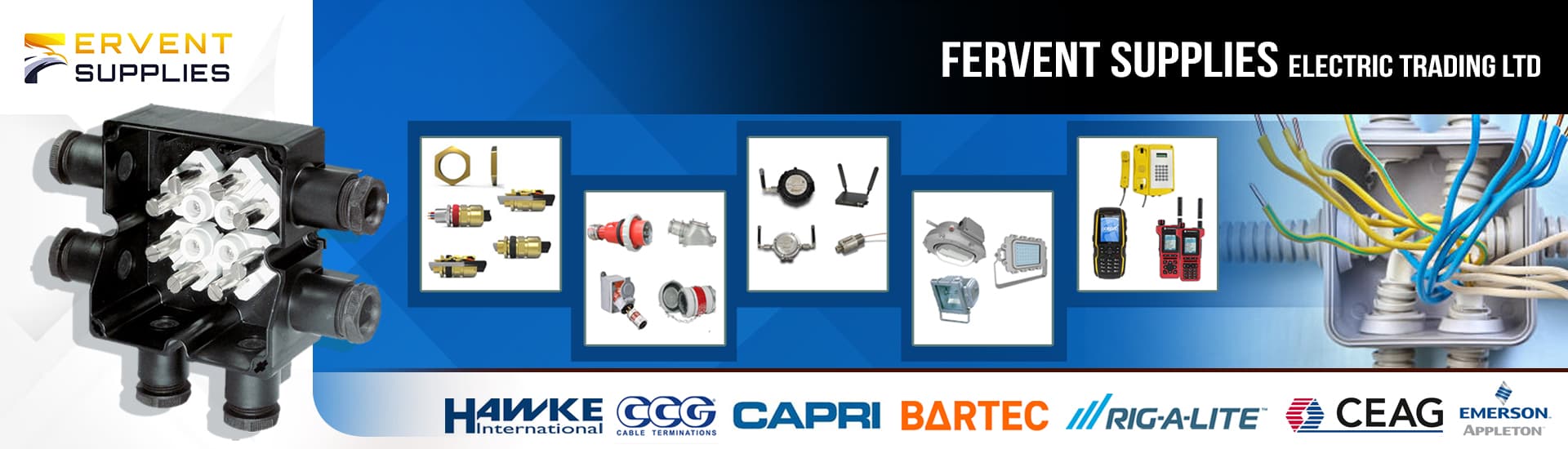 FERVENT SUPPLIES ELECTRIC TRADING LTD
