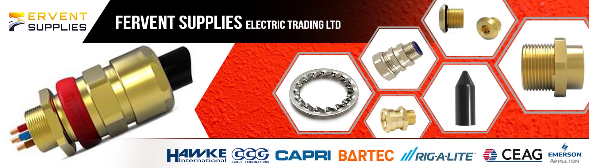FERVENT SUPPLIES ELECTRIC TRADING LTD