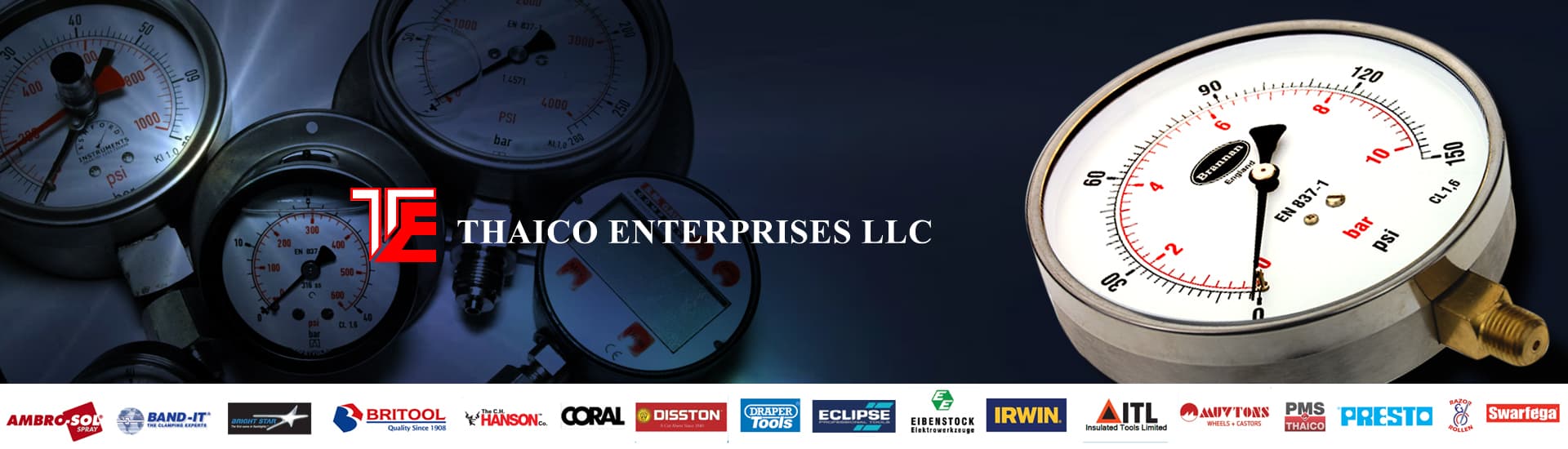 THAICO ENTERPRISES LLC