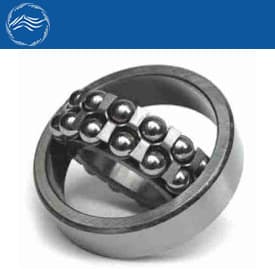 DOUBLE ROLLER BEARING SUPPLIERS IN UAE