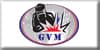 GVM STEEL 