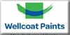 WELLCOAT 2K PAINT