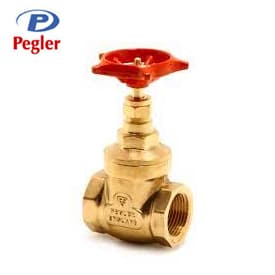 PEGLER GATE VALVE SUPPLIERS IN UAE