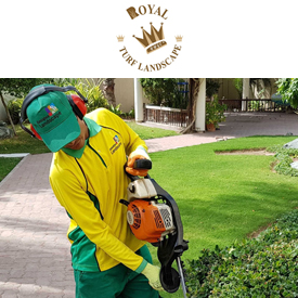 LANDSCAPING SERVICES IN UAE