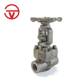SVS SINGAPORE CAST STEEL VALVE IN UAE