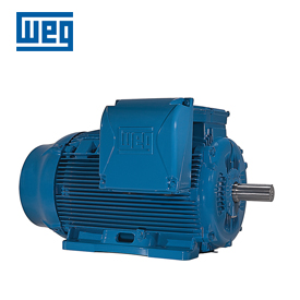 WEG ELECTRICL MOTOR SUPPLIER IN UAE