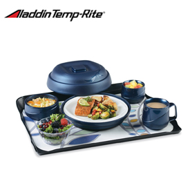 ALLADIN TEMP RITE RADIANCE DOME SUPPLIER IN UAE