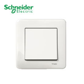 SCHNEIDER ELECTRIC SWITCHES SUPPLIER IN UAE
