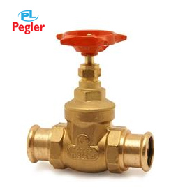 PEGLER VALVES  SUPPLIER IN UAE