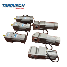 TORQUEON COMPACT GEARED MOTOR SUPPLIER IN UAE