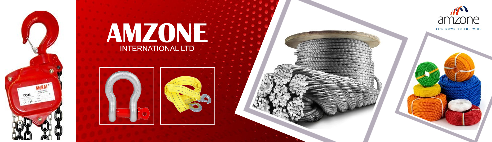 AMZONE INTERNATIONAL LTD