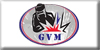GVM STEEL 