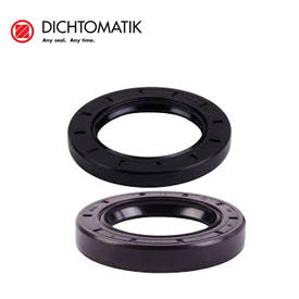 DICHTOMATIK OIL SEALS SUPPLIERS IN UAE